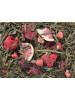 Grünteemischung Sencha Feige Beere [Feige-Erdbeere-Note]
