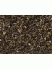 Schwarzer Tee Darjeeling Jungpana FTGFOP1 Inbetween Schwarzer Tee Darjeeling Jungpana FTGFOP1 Inbetween